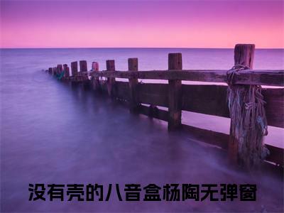 没有壳的八音盒杨陶（没有壳的八音盒杨陶）全文免费阅读无弹窗大结局_没有壳的八音盒杨陶全文在线阅读无弹窗