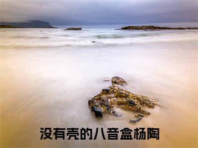 没有壳的八音盒杨陶最新章节（没有壳的八音盒杨陶）全文免费阅读无弹窗大结局_没有壳的八音盒杨陶免费阅读（没有壳的八音盒杨陶）