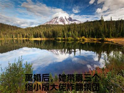 洛熙冷清寒(离婚后，她带着三个缩小版大佬炸翻集团)小说免费下载全本-洛熙冷清寒（离婚后，她带着三个缩小版大佬炸翻集团完整版）免费阅读无弹窗（洛熙冷清寒）