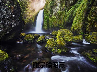 谢宗瑜昭熹（谢宗瑜昭熹）全文免费阅读无弹窗大结局_谢宗瑜昭熹最新章节列表_笔趣阁（谢宗瑜昭熹）