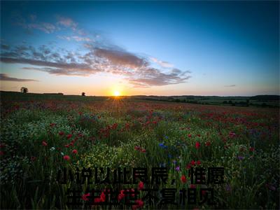 以此良辰，惟愿生生世世不复相见（墨白渊柳姒月）小说全文在线阅读_以此良辰，惟愿生生世世不复相见最新章节在线阅读_笔趣阁