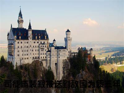 司徒鸢裴寂(被送到敌国为质三年)全文免费阅读无弹窗大结局_司徒鸢裴寂最新章节列表_笔趣阁(被送到敌国为质三年)