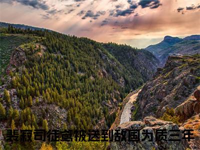 被送到敌国为质三年在线阅读（裴寂司徒鸢）全文免费阅读_裴寂司徒鸢最新章节列表_笔趣阁
