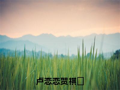 卢恋恋贺祺沄甜宠小说哪里能看卢恋恋贺祺沄-卢恋恋贺祺沄小说阅读全集