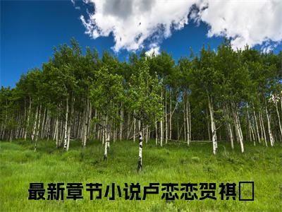 卢恋恋贺祺沄(卢恋恋贺祺沄)全文免费阅读-卢恋恋贺祺沄最新章节阅读