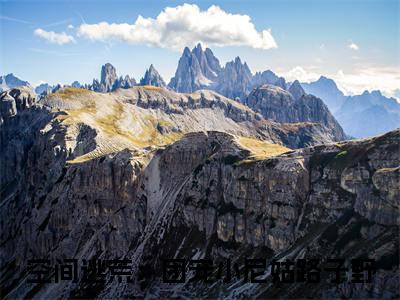 空间逃荒：团宠小尼姑路子野小说全文免费阅读小说花小念热门小说完整版阅读