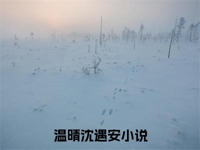 温晴沈遇安小说（温晴沈遇安)全文免费阅读无弹窗大结局_温晴沈遇安（温晴沈遇安）完整版最新阅读_笔趣阁（温晴沈遇安）