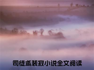 折磨三年归国，丞相哭红眼小说全文在线赏析 司徒鸢裴寂小说免费阅读全文大结局