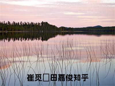 崔觅玥田嘉俊免费阅读（崔觅玥田嘉俊）全文免费阅读无弹窗大结局_崔觅玥田嘉俊免费阅读最新章节列表_笔趣阁（崔觅玥田嘉俊）