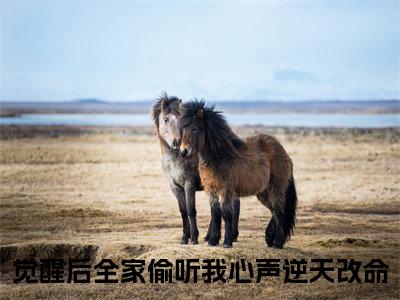 苏芸全文免费阅读无弹窗大结局_（苏芸小说）觉醒后全家偷听我心声逆天改命在线免费阅读