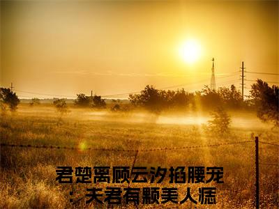 君楚离顾云汐无广告小说（掐腰宠：夫君有颗美人痣）全文免费阅读无弹窗大结局-君楚离顾云汐在线阅读