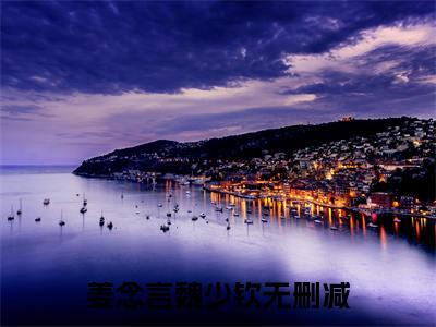 姜念言魏少钦（姜念言魏少钦）全文免费阅读无弹窗_姜念言魏少钦小说最新章节列表无删减_笔趣阁