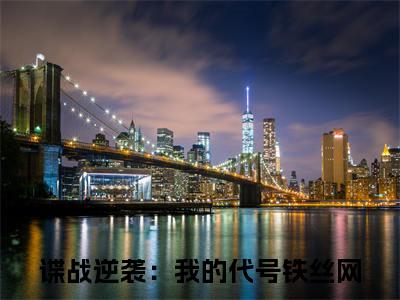 《谍战逆袭：我的代号铁丝网》无弹窗大结局（刘长川王奎）-抖音热推谍战逆袭：我的代号铁丝网无弹窗阅读最新章节列表_笔趣阁