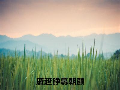 戚越铮慕朝颜大结局全文免费阅读最新章节_戚越铮慕朝颜大结局