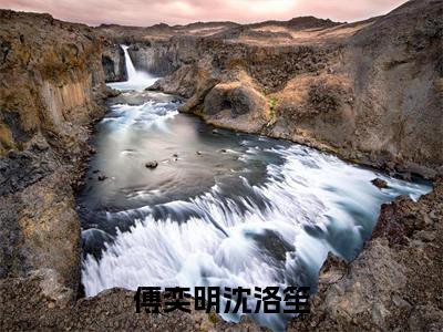傅奕明沈洛笙完结版小说全文在线免费阅读_傅奕明沈洛笙最新章节列表_笔趣阁