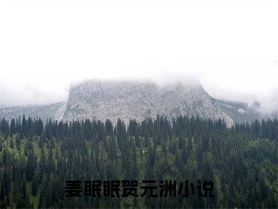 姜眠眠贺元洲小说(姜眠眠贺元洲)免费阅读无弹窗,小说名字是：姜眠眠贺元洲的小说在线阅读无删减