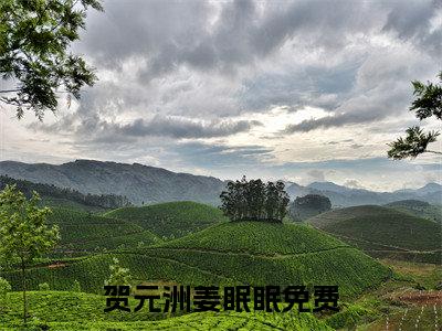 贺元洲姜眠眠（贺元洲姜眠眠）全文免费阅读无弹窗_(贺元洲姜眠眠)贺元洲姜眠眠全文免费阅读无弹窗最新章节列表_笔趣阁（贺元洲姜眠眠）