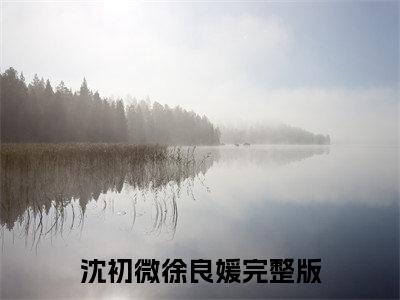 沈初微徐良媛小说全文无删减版 沈初微徐良媛在线阅读