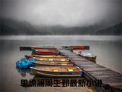 单惊澜周生郅在线阅读（单惊澜周生郅小说）全文免费阅读无弹窗大结局_单惊澜周生郅免费最新章节列表_笔趣阁（单惊澜周生郅小说）
