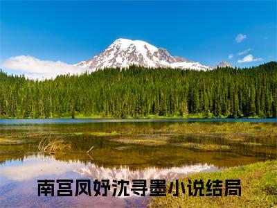南宫凤妤沈寻墨无广告小说免费阅读，南宫凤妤沈寻墨完结小说在线阅读