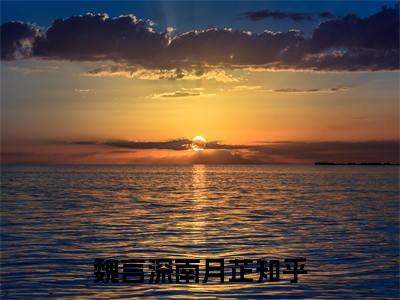 魏言深南月芷(魏言深南月芷）小说全文免费阅读无弹窗大结局_（魏言深南月芷）魏言深南月芷小说全文免费阅读最新章节列表笔趣阁（魏言深南月芷）