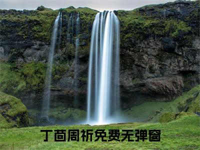 丁茴周祈小说全文免费阅读无弹窗大结局-丁茴周祈 小说在哪里可以看丁茴周祈