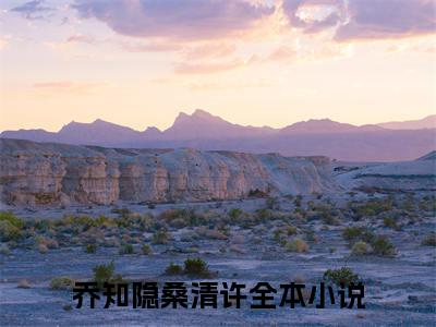 乔知隐桑清许知乎小说-乔知隐桑清许小说哪里能看