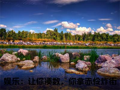 （娱乐：让你凑数，你拿赤伶炸街）林逸全文免费阅读无弹窗大结局_林逸全文免费完结版阅读（娱乐：让你凑数，你拿赤伶炸街）