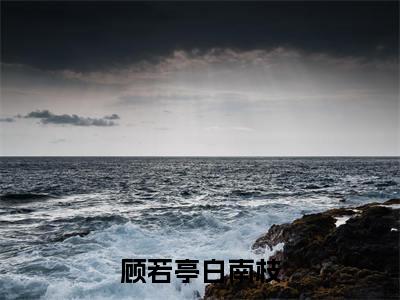 老书虫推荐顾若亭白南枝小说-顾若亭白南枝小说全章节阅读