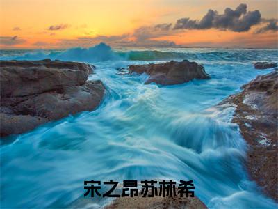 小说宋之昂苏林希全文阅读-（宋之昂苏林希）小说宋之昂苏林希大结局
