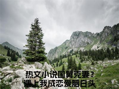 宋思弦沈云州全文小说（国舅克妻？遇上我成恋爱脑白头偕老）-完整版小说国舅克妻？遇上我成恋爱脑白头偕老（宋思弦沈云州）热文免费阅读