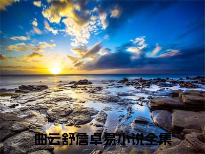 曲云舒詹卓易（曲云舒詹卓易)全文免费阅读无弹窗大结局_曲云舒詹卓易全文免费阅读_笔趣阁（曲云舒詹卓易）