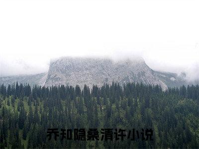 乔知隐桑清许（乔知隐桑清许）全文免费阅读无弹窗大结局_（乔知隐桑清许全文免费阅读无弹窗）乔知隐桑清许最新章节列表_笔趣阁（乔知隐桑清许）