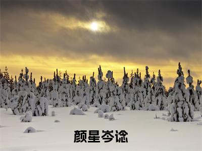 颜星岑谂的小说全文免费阅读无弹窗大结局-《颜星岑谂》完整章节阅读