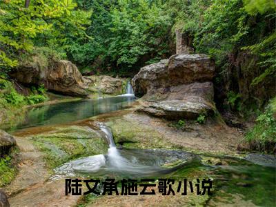 陆文承施云歌全文免费阅读无弹窗大结局_（陆文承施云歌无弹窗）陆文承施云歌全文阅读最新章节列表笔趣阁