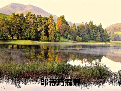 邹诗方霖萧(邹诗方霖萧)是什么小说-热门小说（邹诗方霖萧）最新章节阅读