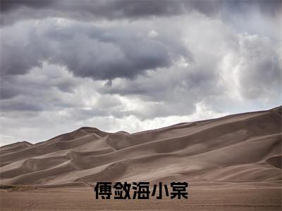 热推新书傅敛海小棠小说全文（傅敛海小棠）全文免费阅读_傅敛海小棠最新章节无弹窗阅读
