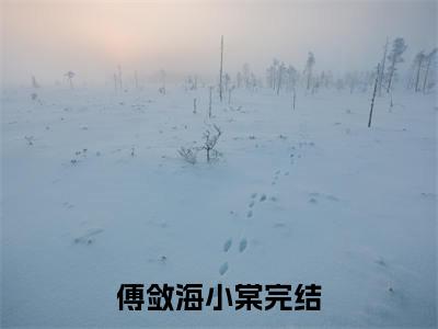 小说（傅敛海小棠）最新章节免费阅读-（傅敛海小棠）小说全文无删减版