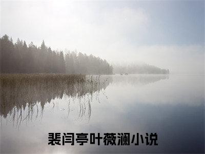 裴闫亭叶薇澜最新章节在线阅读-全文小说裴闫亭叶薇澜
