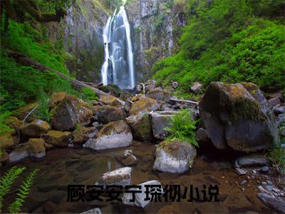 顾安安宁琛彻全文小说-（顾安安宁琛彻）最新章节在线阅读