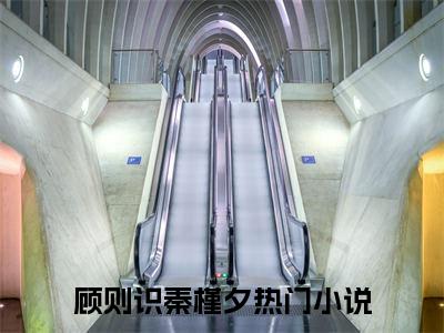 顾则识秦槿夕（顾则识秦槿夕）全文免费阅读无弹窗大结局_顾则识秦槿夕小说全文免费阅读最新章节列表_笔趣阁（顾则识秦槿夕）