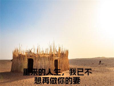 许晚棠梁祁安（重来的人生，我已不想再做你的妻）全文免费阅读无弹窗-（许晚棠梁祁安）重来的人生，我已不想再做你的妻小说全文在线赏析