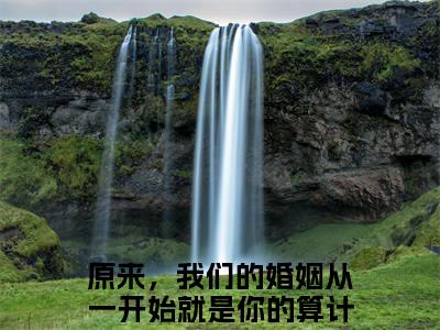 原来，我们的婚姻从一开始就是你的算计（盛可可钟子郁）全文免费阅读无弹窗大结局_原来，我们的婚姻从一开始就是你的算计最新章节列表_笔趣阁