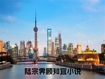 陆宗霁顾知宜新书热荐 陆宗霁顾知宜全文完结版