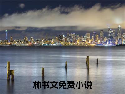 重生那年，大学毕业小说（林书文）完整版小说阅读_重生那年，大学毕业全本列表免费笔趣阁