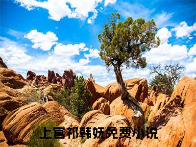 上官祁韩妩免费阅读无弹窗，上官祁韩妩小说大结局全文免费阅读