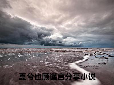 夏兮也顾谨言全文免费阅读_（夏兮也顾谨言免费阅读无弹窗）夏兮也顾谨言最新章节在线阅读笔趣阁
