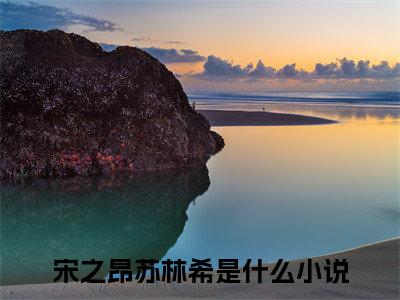 宋之昂苏林希（宋之昂苏林希）精彩小说-宋之昂苏林希小说全文无删减版免费阅读