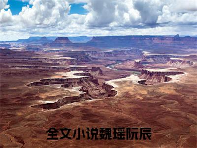 魏瑶阮辰（魏瑶阮辰）小说最新章节-魏瑶阮辰全文免费阅读无弹窗大结局