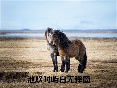 池欢时屿白（池欢时屿白）全文在线阅读无弹窗大结局_池欢时屿白最新章节列表_笔趣阁